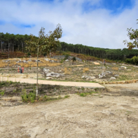 20250915_125656 copia 20250915_125656 copia