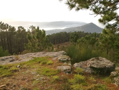 5edf68b6 e5a2 4ff5 b185 359887e53e6c