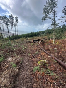 72222ade c00b 4573 95c6 5e75f28f0c0c