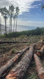 86ad9cab 65f0 4871 82df 0ec6df413b25