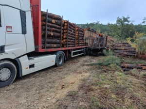 e94ea10b 1f2c 4605 8a59 98be2e57d1bc