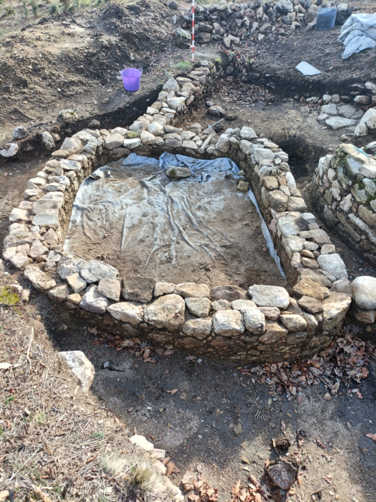 3d0a0a7c 7d15 4265 80dd c36bd68796ad