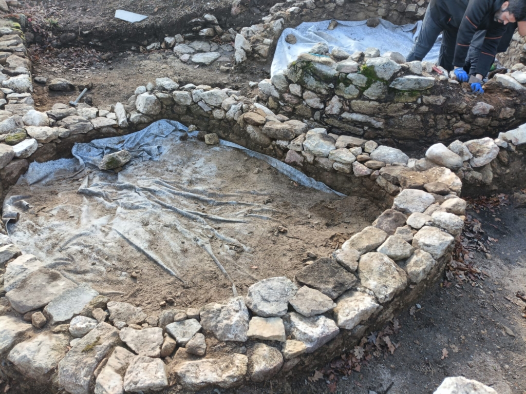 c955dea7 be66 474e a936 177c3058e256